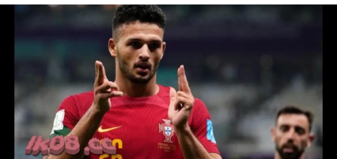  雄狮与野牛对战视频 