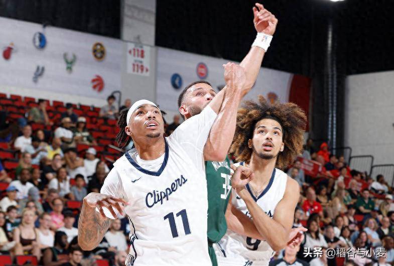  雄狮与野牛对战视频 